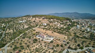 Αγροτεμάχια 4.600 τ.μ. για πώληση, Αργολίδα, Κρανίδι-thumb-17