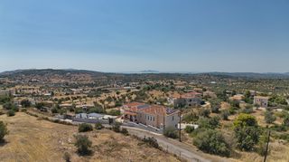 Αγροτεμάχια 4.600 τ.μ. για πώληση, Αργολίδα, Κρανίδι-thumb-8