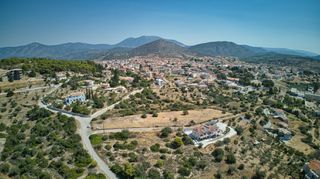 Αγροτεμάχια 4.600 τ.μ. για πώληση, Αργολίδα, Κρανίδι-thumb-10