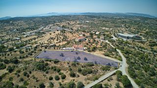 Αγροτεμάχια 4.600 τ.μ. για πώληση, Αργολίδα, Κρανίδι-thumb-1