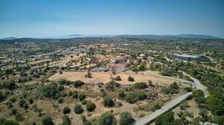 Αγροτεμάχια 4.600 τ.μ. για πώληση