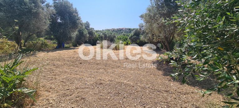 Αγροτεμάχια 1.770 τ.μ. για πώληση, Ν. Χίου, Χίος