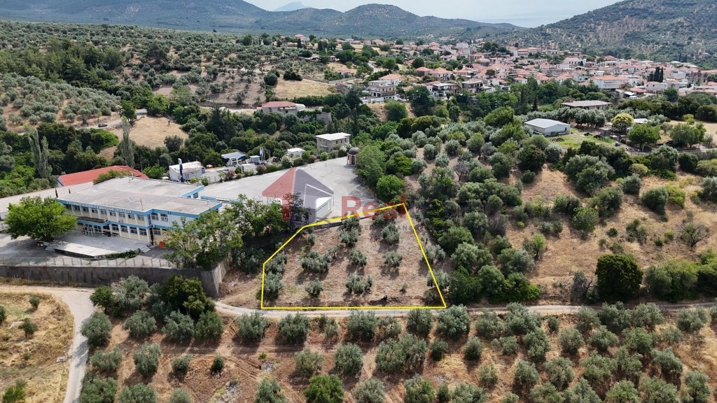 Οικόπεδο 741 τ.μ. πρός πώληση, Μαγνησία, Πτελεός