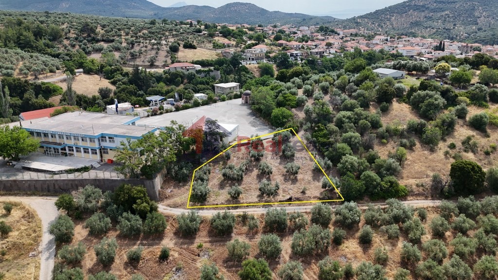 Οικόπεδο 741 τ.μ. πρός πώληση, Μαγνησία, Πτελεός