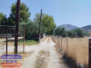 Αγροτεμάχια 5.600 τ.μ. για πώληση