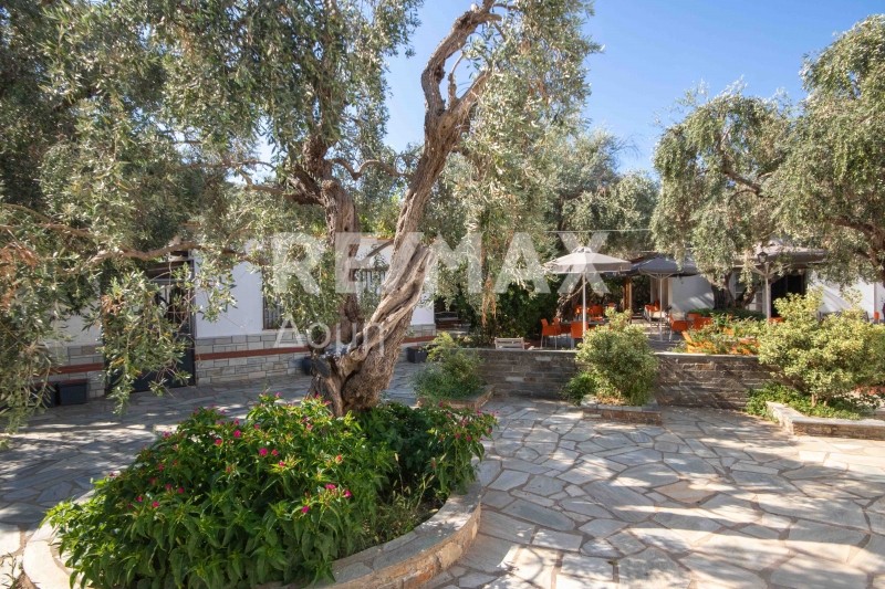Ξενοδοχείο 1.460 τ.μ. προς πώληση, Άφυσσος