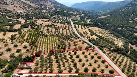 Parcel 5.860sqm for sale-Lirkeia » Spaneika