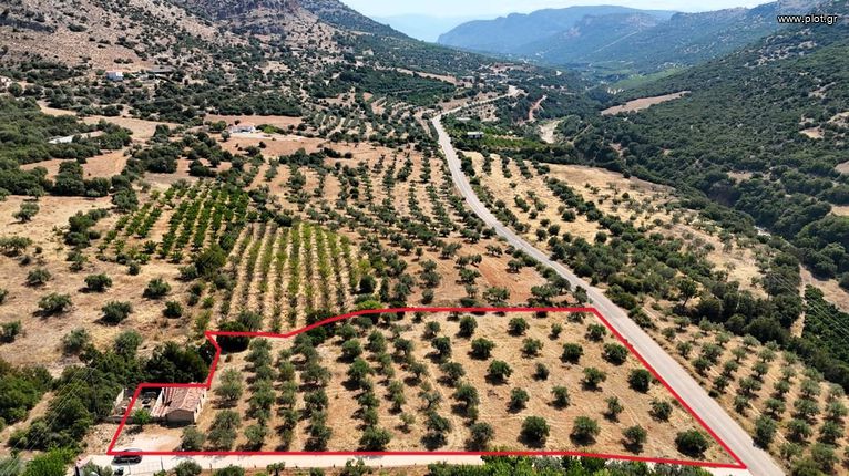 Αγροτεμάχια 5.860 τ.μ. για πώληση, Αργολίδα, Λύρκεια