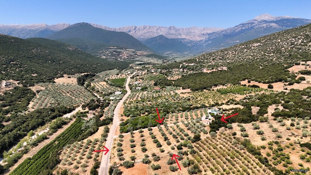 Αγροτεμάχια 5.860 τ.μ. πρός πώληση, Αργολίδα, Λύρκεια