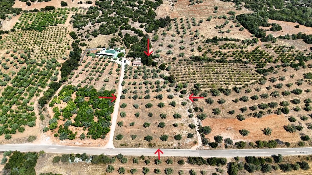 Αγροτεμάχια 5.860 τ.μ. πρός πώληση, Αργολίδα, Λύρκεια