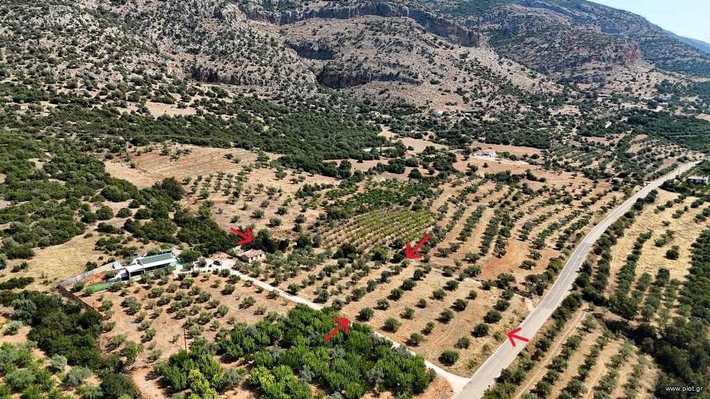 Αγροτεμάχια 5.860 τ.μ. πρός πώληση, Αργολίδα, Λύρκεια