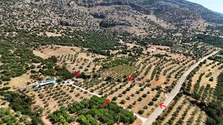 Αγροτεμάχια 5.860 τ.μ. για πώληση, Αργολίδα, Λύρκεια-thumb-3