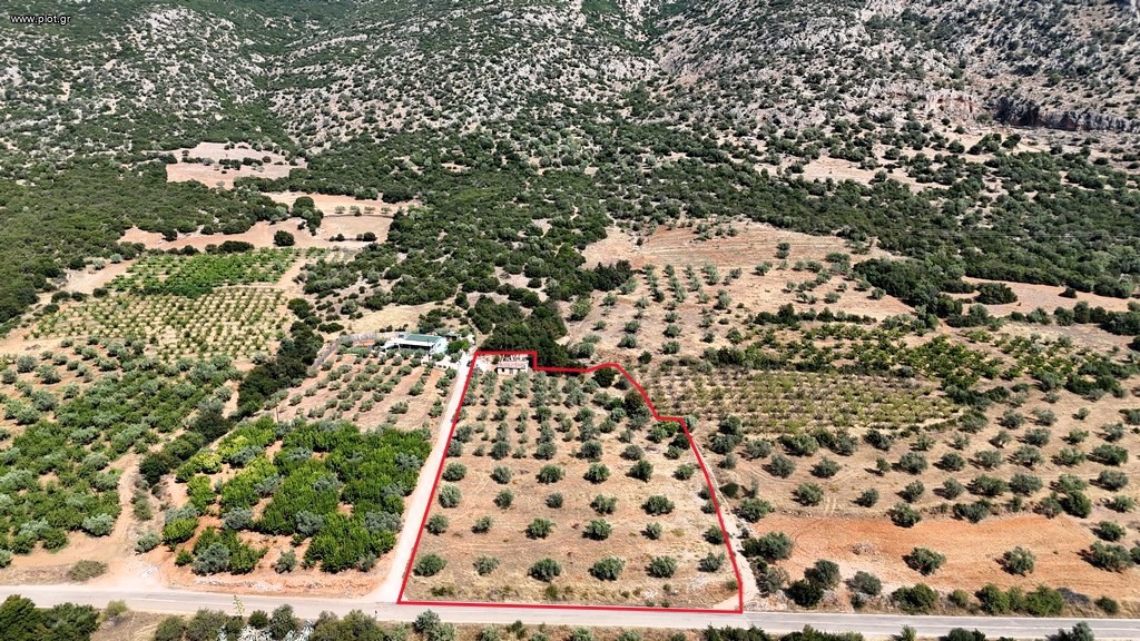Αγροτεμάχια 5.860 τ.μ. πρός πώληση, Αργολίδα, Λύρκεια