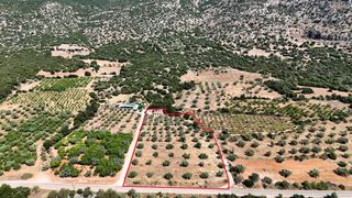 Αγροτεμάχια 5.860 τ.μ. για πώληση, Αργολίδα, Λύρκεια-thumb-4