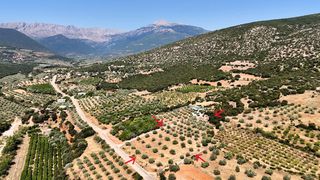Αγροτεμάχια 5.860 τ.μ. για πώληση, Αργολίδα, Λύρκεια-thumb-6