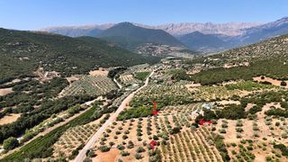 Αγροτεμάχια 5.860 τ.μ. για πώληση, Αργολίδα, Λύρκεια-thumb-7