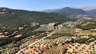 Αγροτεμάχια 5.860 τ.μ. για πώληση, Αργολίδα, Λύρκεια-thumb-8