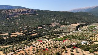 Αγροτεμάχια 5.860 τ.μ. για πώληση, Αργολίδα, Λύρκεια-thumb-9