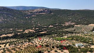 Αγροτεμάχια 5.860 τ.μ. για πώληση, Αργολίδα, Λύρκεια-thumb-10