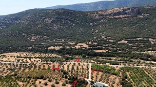 Αγροτεμάχια 5.860 τ.μ. για πώληση, Αργολίδα, Λύρκεια-thumb-11
