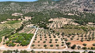 Αγροτεμάχια 5.860 τ.μ. για πώληση, Αργολίδα, Λύρκεια-thumb-12