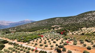 Αγροτεμάχια 5.860 τ.μ. για πώληση, Αργολίδα, Λύρκεια-thumb-13