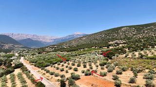 Αγροτεμάχια 5.860 τ.μ. για πώληση, Αργολίδα, Λύρκεια-thumb-14