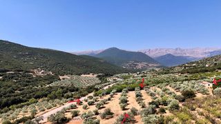 Αγροτεμάχια 5.860 τ.μ. για πώληση, Αργολίδα, Λύρκεια-thumb-15