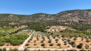 Αγροτεμάχια 5.860 τ.μ. για πώληση, Αργολίδα, Λύρκεια-thumb-16