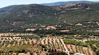 Αγροτεμάχια 5.860 τ.μ. για πώληση, Αργολίδα, Λύρκεια-thumb-18