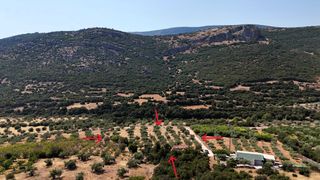 Αγροτεμάχια 5.860 τ.μ. για πώληση, Αργολίδα, Λύρκεια-thumb-19