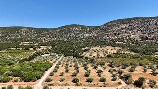 Αγροτεμάχια 5.860 τ.μ. για πώληση, Αργολίδα, Λύρκεια-thumb-20