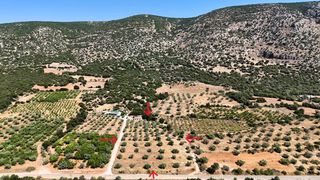 Αγροτεμάχια 5.860 τ.μ. για πώληση, Αργολίδα, Λύρκεια-thumb-21