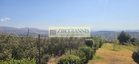 Land plot 44.000sqm for sale-Paiania