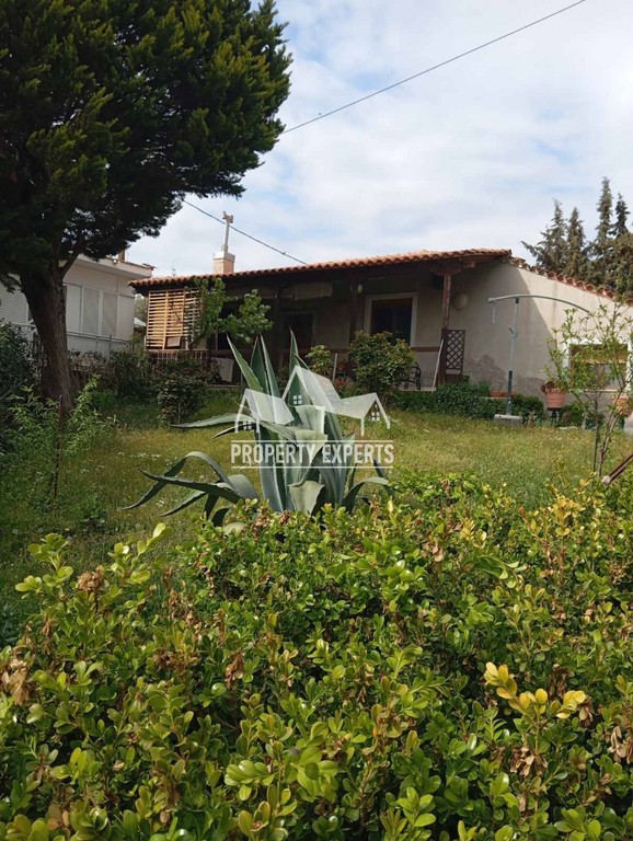Μονοκατοικία 132 τ.μ. προς πώληση, Δίκελλα