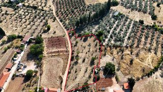 Αγροτεμάχια 3.075 τ.μ. για πώληση, Αργολίδα, Ασκληπιείο-thumb-1