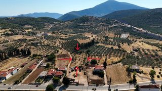 Αγροτεμάχια 3.075 τ.μ. για πώληση, Αργολίδα, Ασκληπιείο-thumb-2