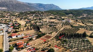 Αγροτεμάχια 3.075 τ.μ. για πώληση, Αργολίδα, Ασκληπιείο-thumb-3