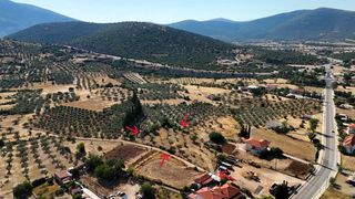 Αγροτεμάχια 3.075 τ.μ. για πώληση, Αργολίδα, Ασκληπιείο-thumb-4
