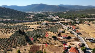 Αγροτεμάχια 3.075 τ.μ. για πώληση, Αργολίδα, Ασκληπιείο-thumb-5