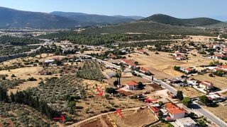 Αγροτεμάχια 3.075 τ.μ. για πώληση, Αργολίδα, Ασκληπιείο-thumb-6