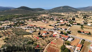 Αγροτεμάχια 3.075 τ.μ. για πώληση, Αργολίδα, Ασκληπιείο-thumb-7