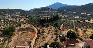 Αγροτεμάχια 3.075 τ.μ. για πώληση, Αργολίδα, Ασκληπιείο-thumb-8