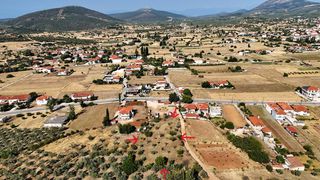 Αγροτεμάχια 3.075 τ.μ. για πώληση, Αργολίδα, Ασκληπιείο-thumb-11