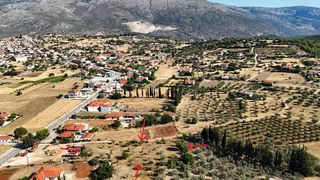 Αγροτεμάχια 3.075 τ.μ. για πώληση, Αργολίδα, Ασκληπιείο-thumb-12
