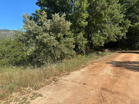 Οικόπεδο 800τ.μ. για πώληση-Παιανία » Τρίγωνο λαγού