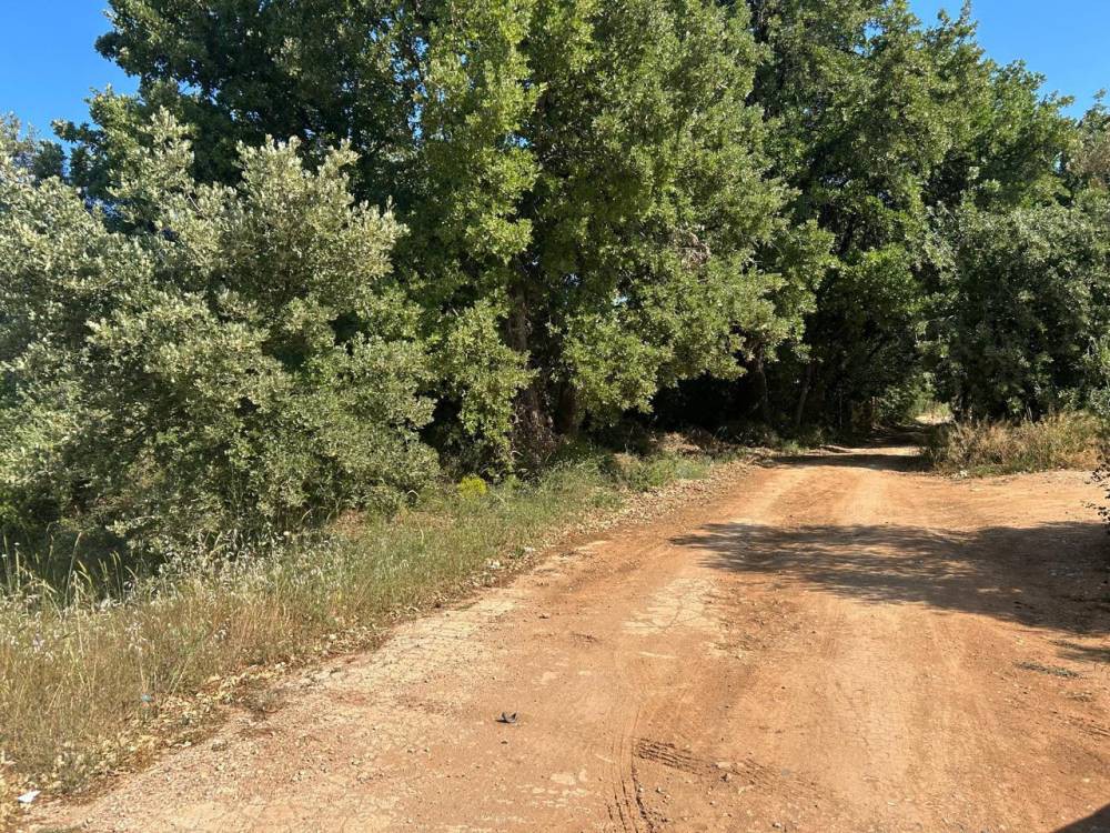 Οικόπεδο 1.829 τ.μ. πρός πώληση, Αθήνα - Ανατολικά Προάστια, Παιανία