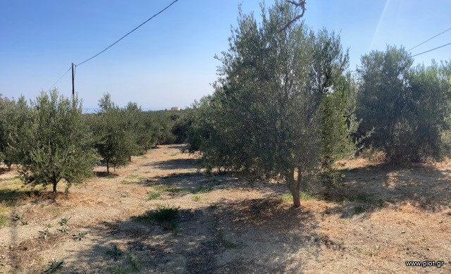 Οικόπεδο 1.000 τ.μ. για πώληση, Ν. Ρεθύμνου, Αρκάδι