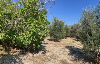 Οικόπεδο 1.000 τ.μ. για πώληση, Ν. Ρεθύμνου, Αρκάδι-thumb-1