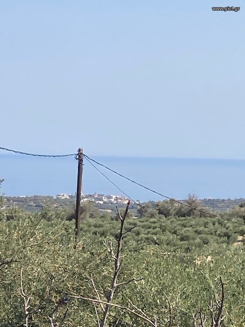 Οικόπεδο 1.000 τ.μ. πρός πώληση, Ν. Ρεθύμνου, Αρκάδι